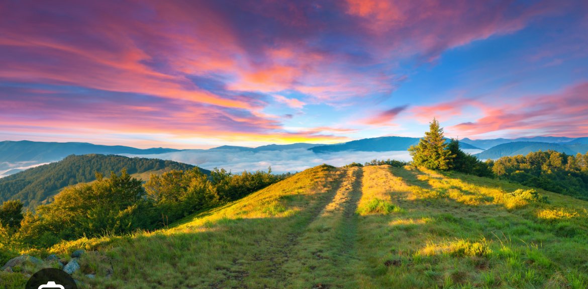 STEP CHALLENGE CLUB banner