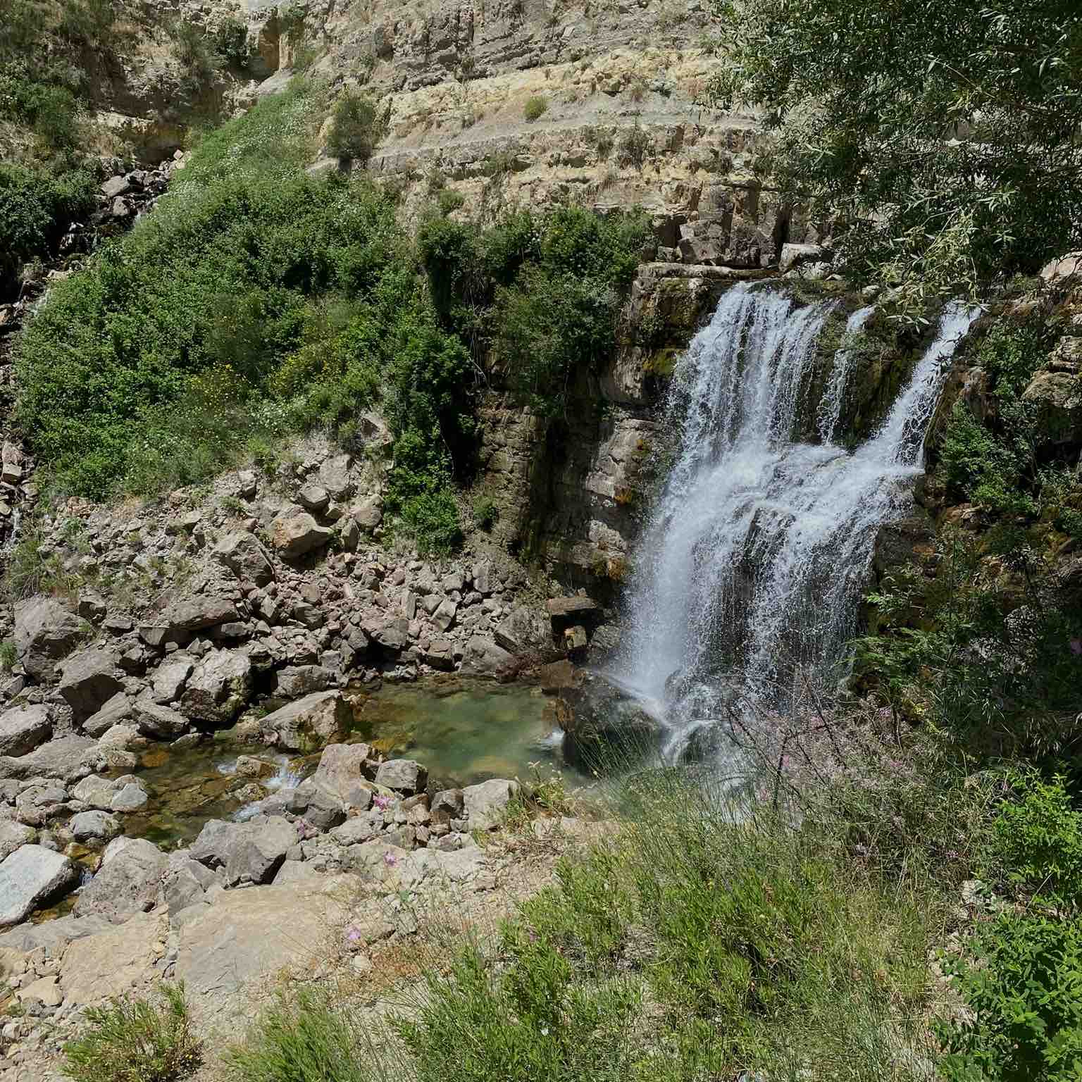 Tired But Inspired logo