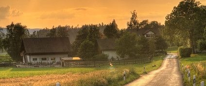 Прогулки с ДК banner