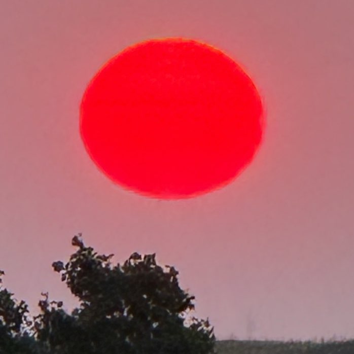 Красный Мак logo