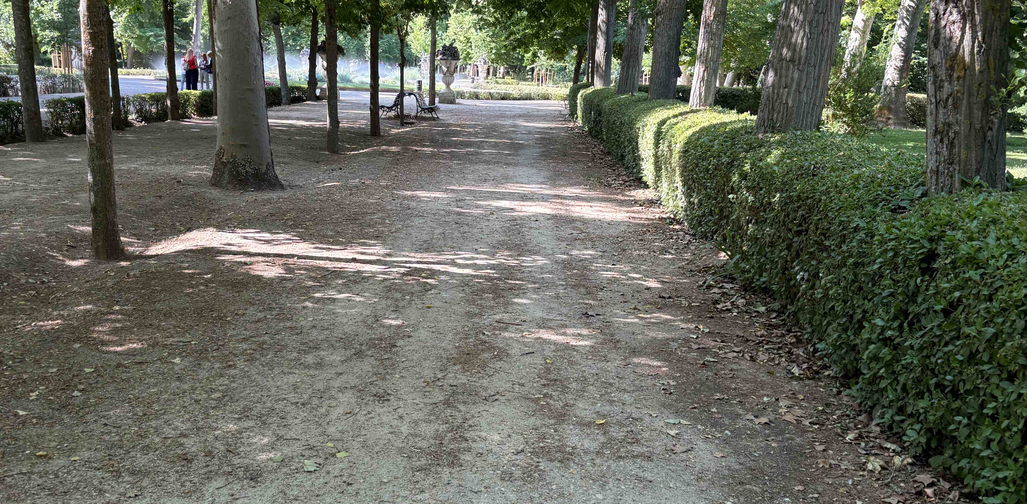 Caminantes de la vida banner