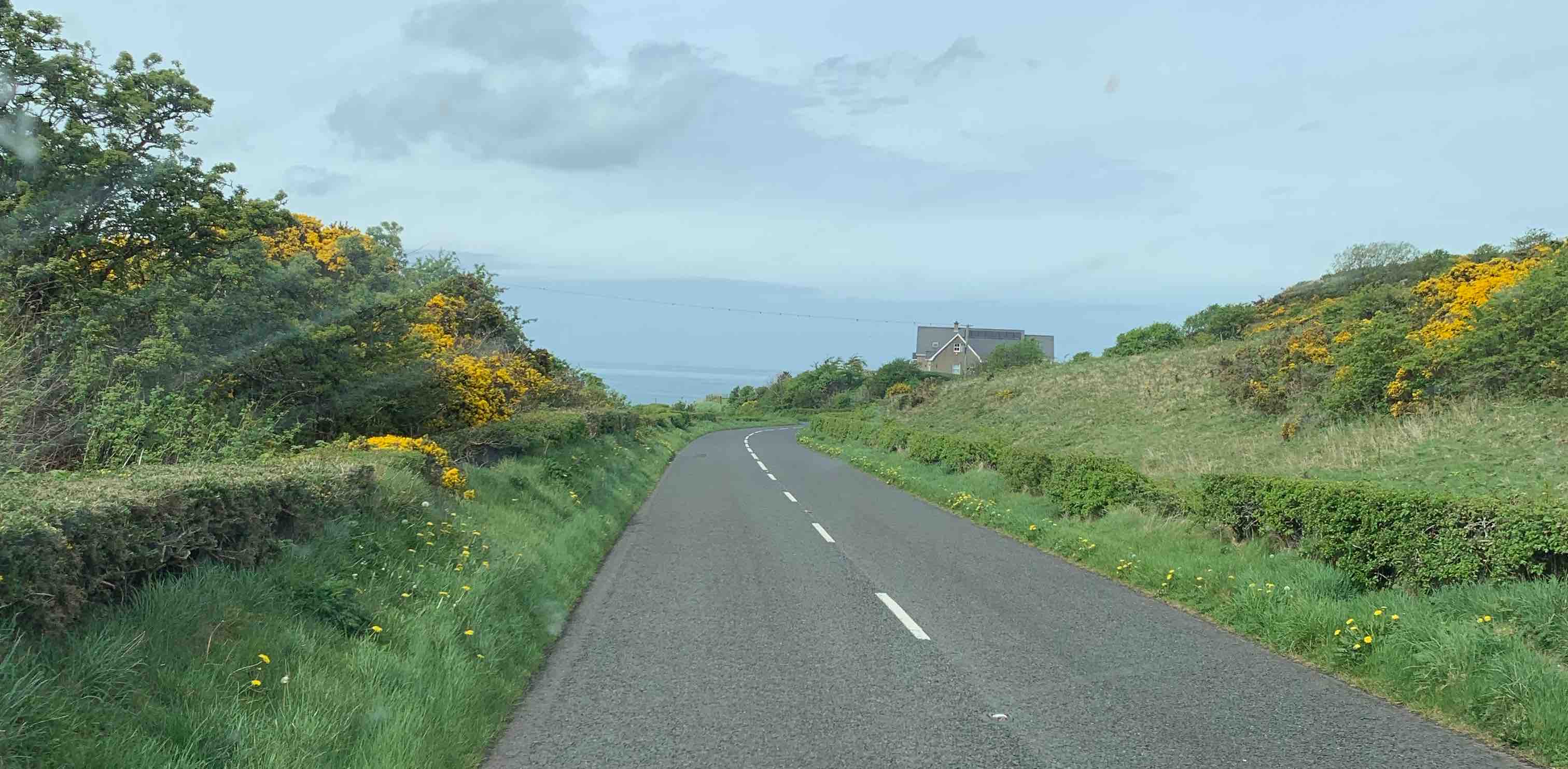 Band-Aid Brigade banner