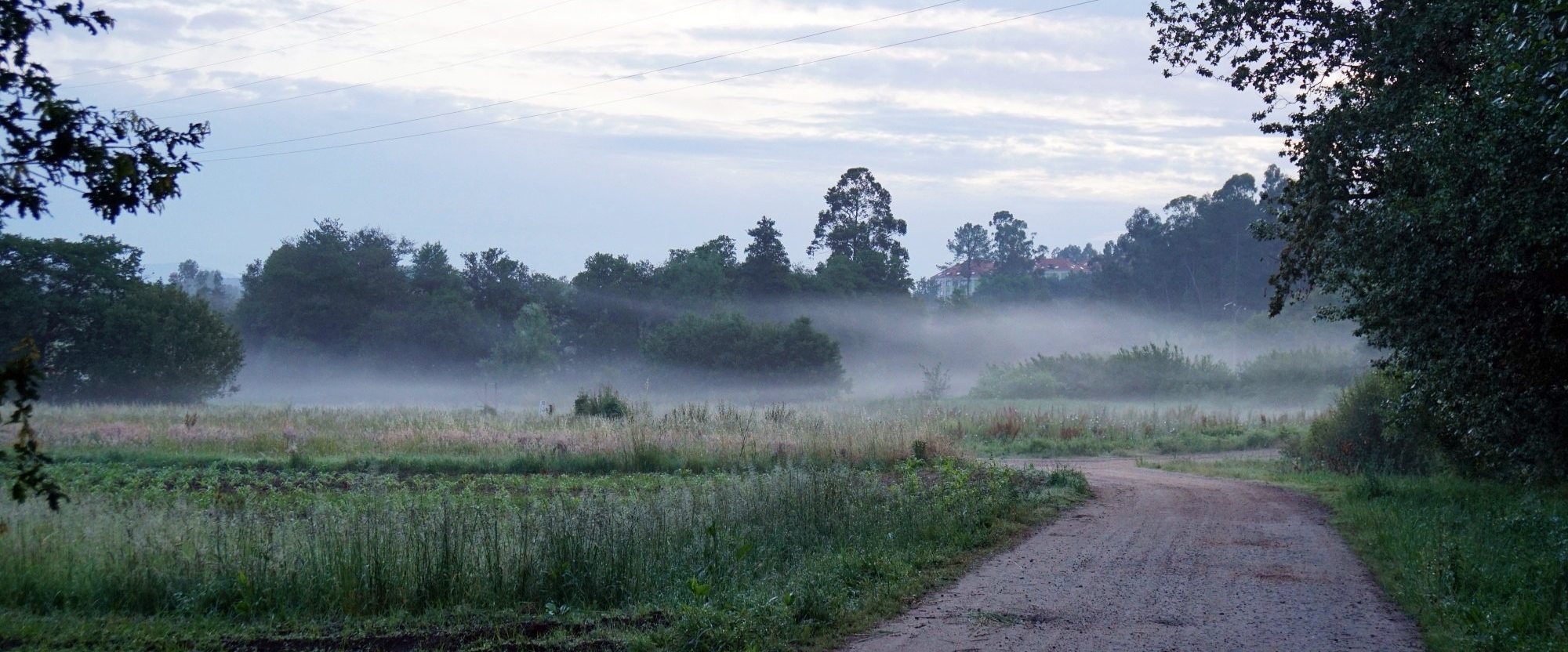 Naturverliebt banner