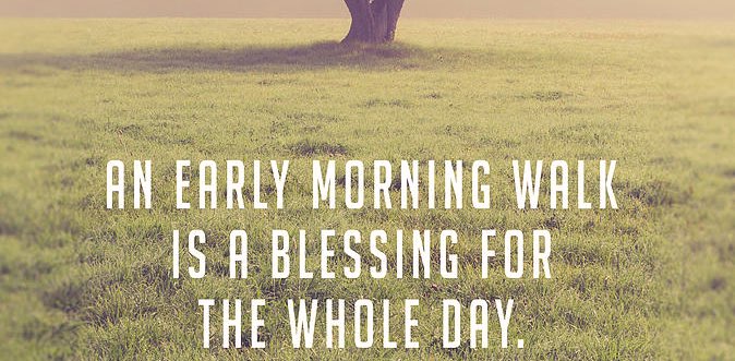 Memu nadustam banner