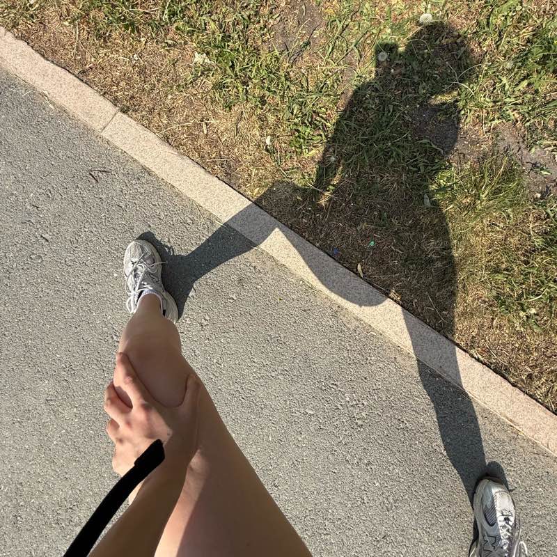 Хождун Форест logo