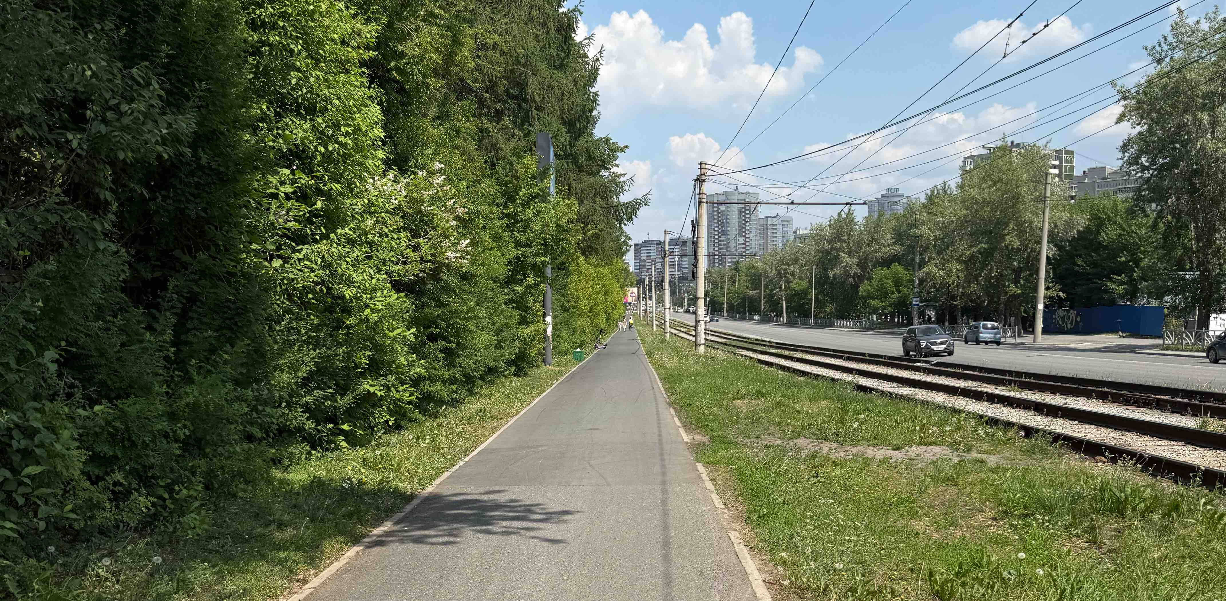 Хождун Форест banner