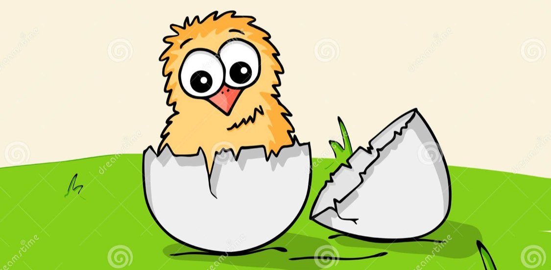 MSRIT Fitomanias banner