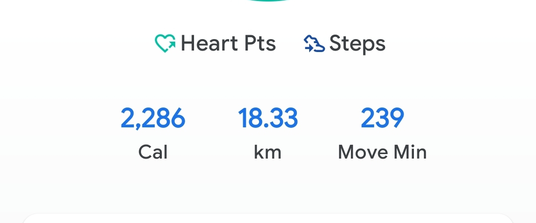 Pakistani Walkers banner