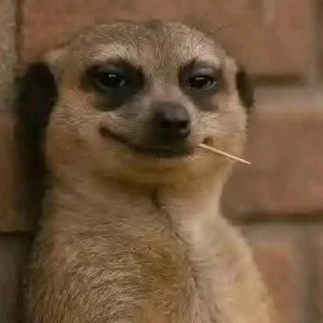 FPL and Lil’ru cruise logo