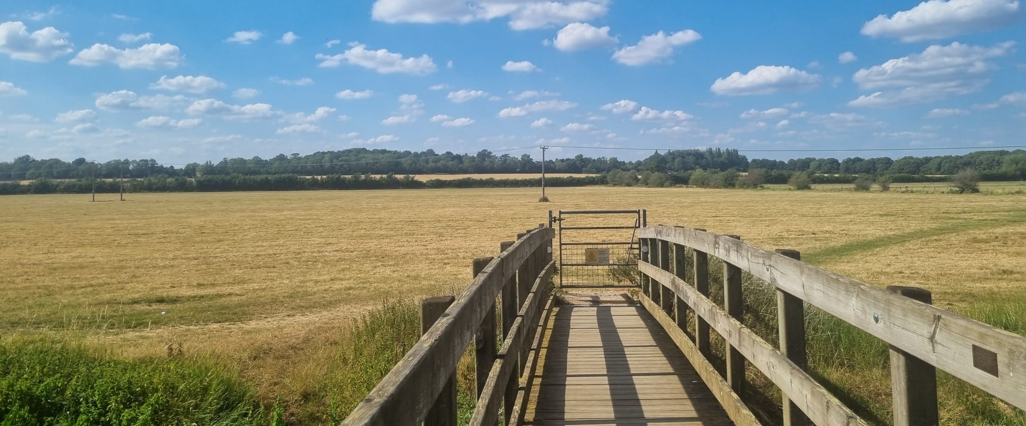 Lytham Albania London - Sloth banner