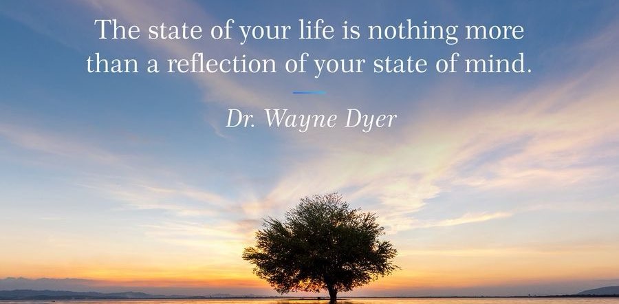 WarriorQueen’s Well-Being  Walkers✨💛✨ banner