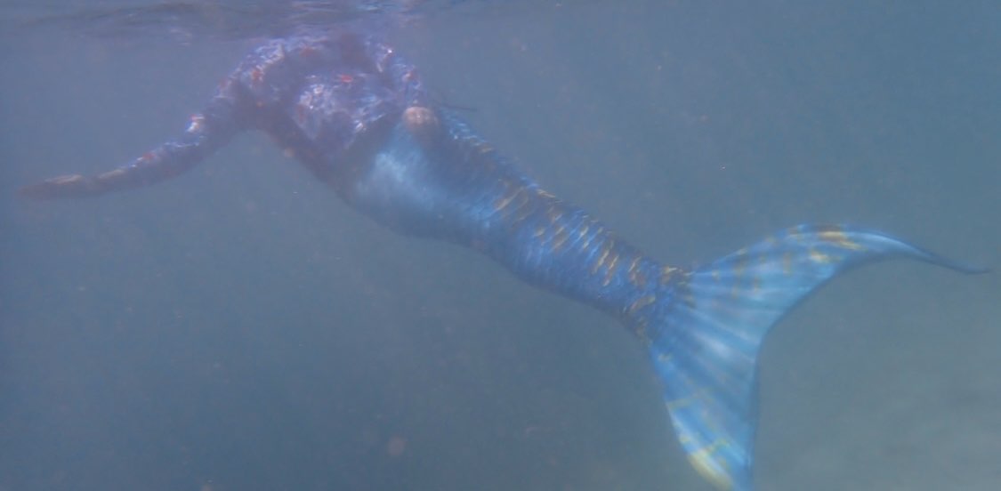 Chickens and Mermaids banner