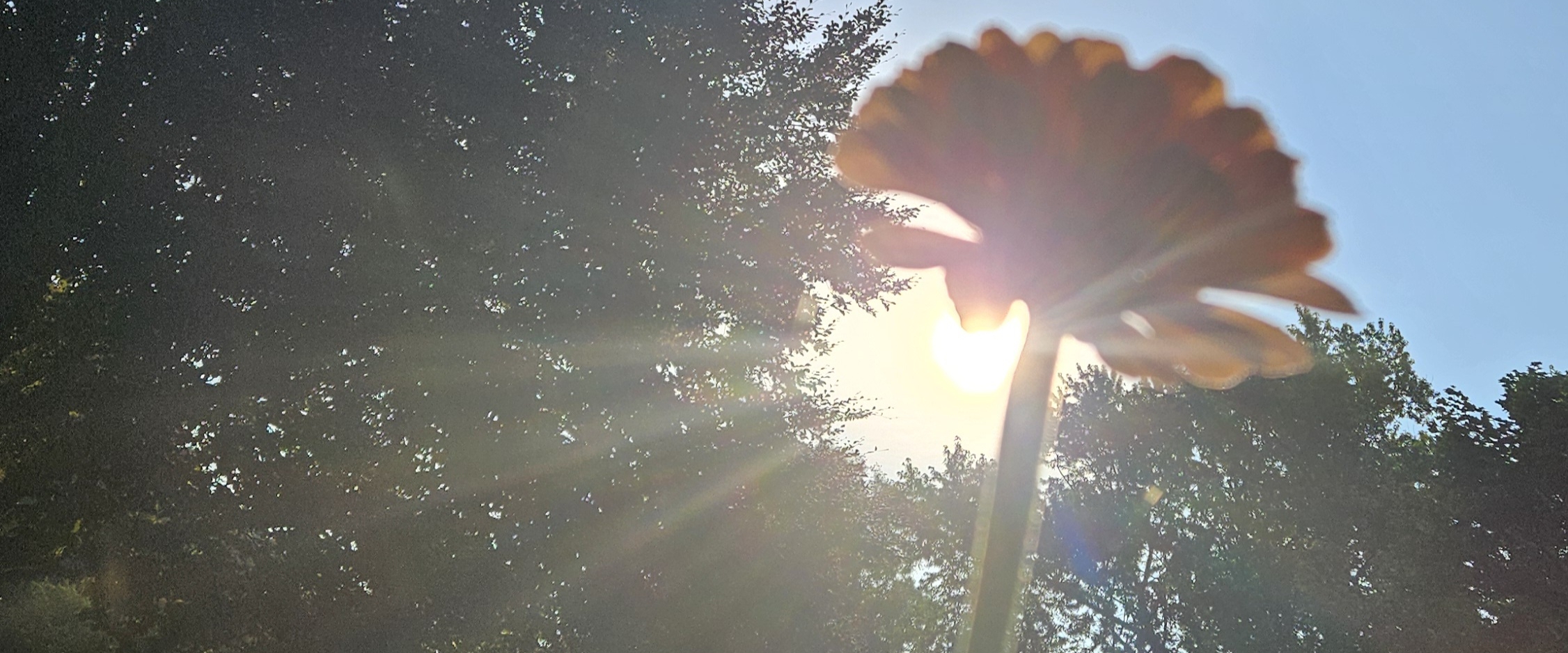 Peace ✌️ runners banner