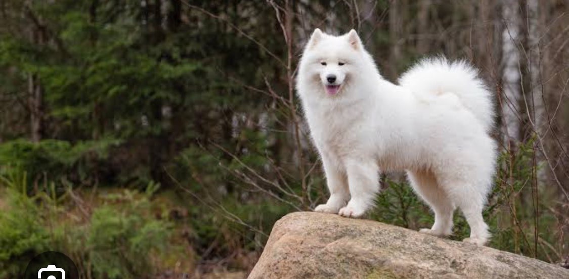 London Challenger 🚶🏾🔋 🌟 banner