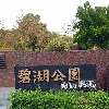 碧湖健走隊 logo