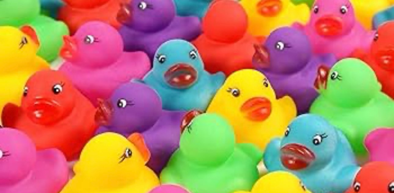 الخسران بطة 🐥 banner