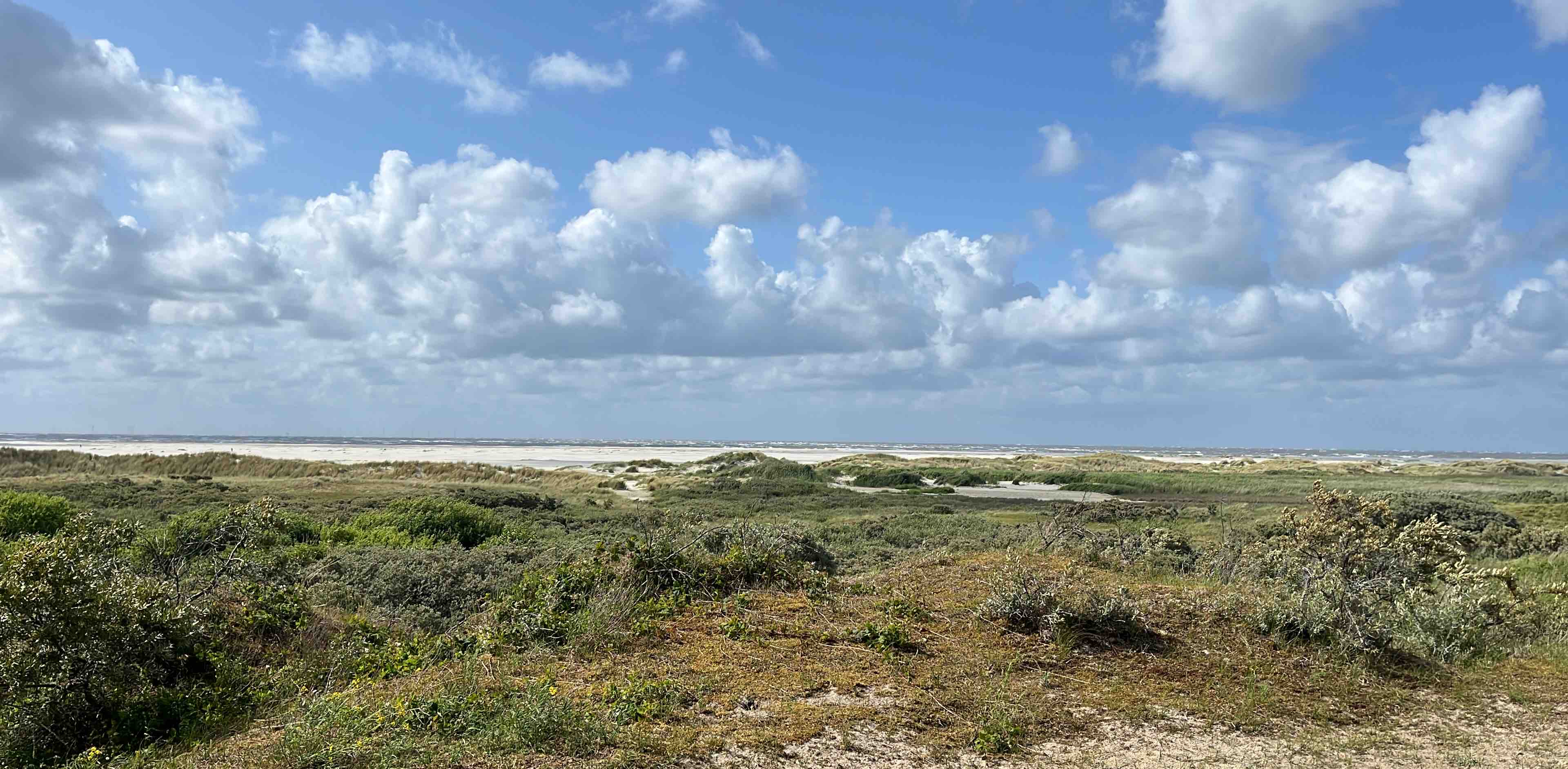 Städte erkunden banner