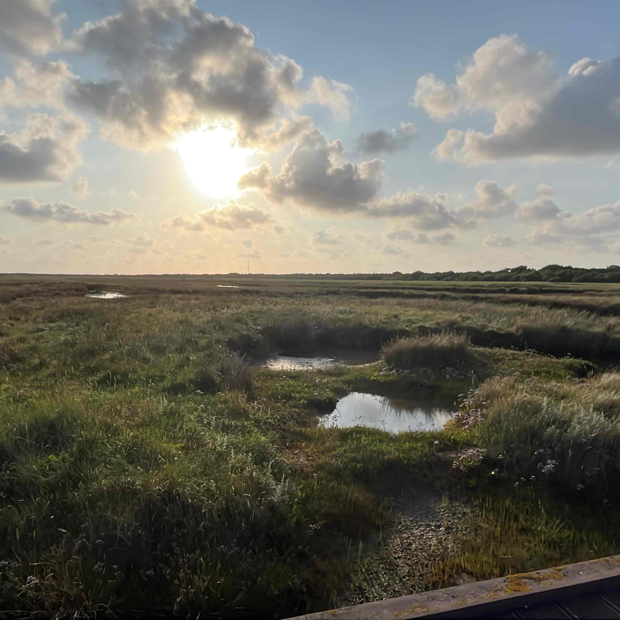 Städte erkunden logo