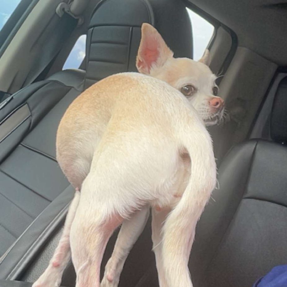 Stoner Run Club logo