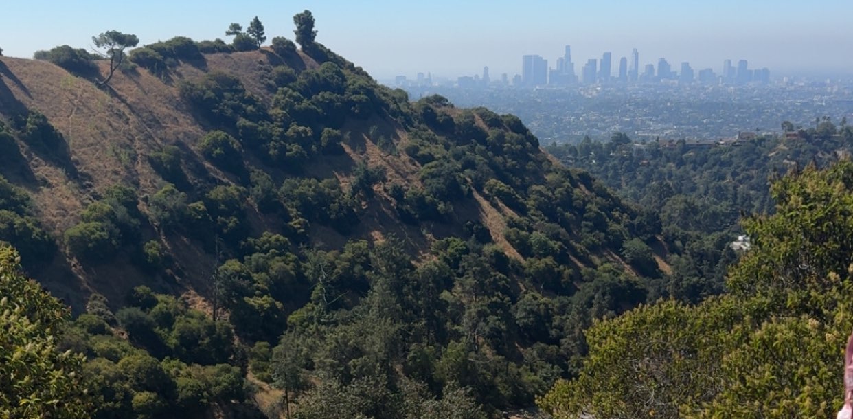 Syd’s Spectacular Steps banner