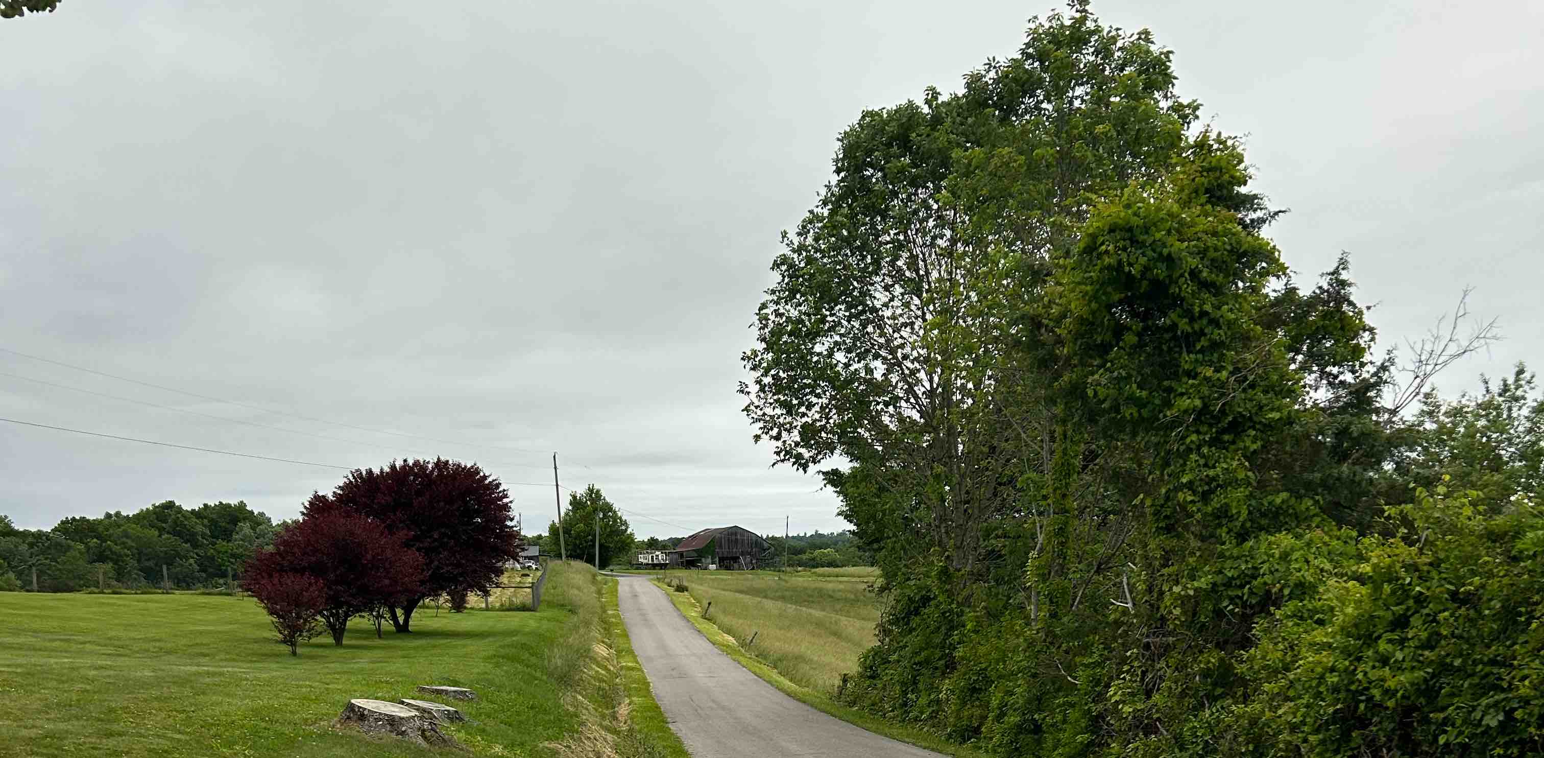 Cross Country Lovers banner