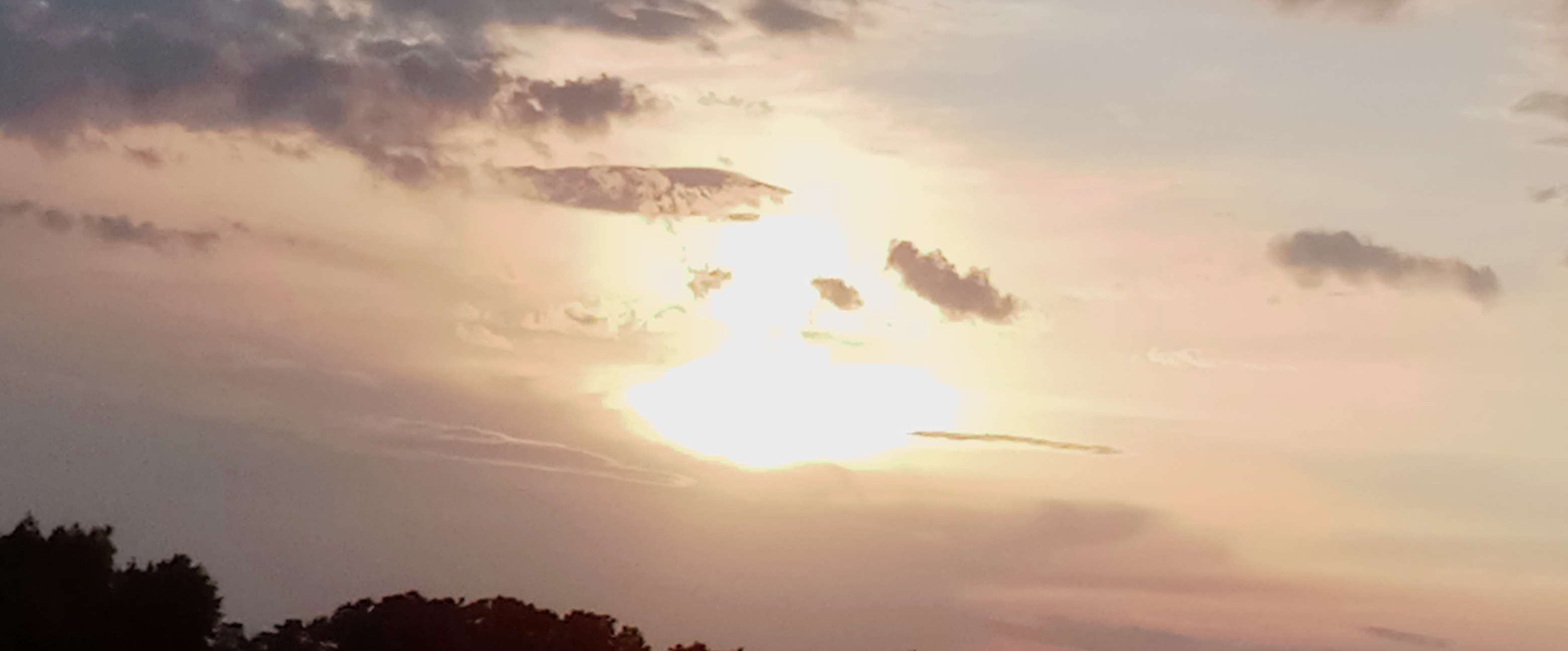 lubimy chodzić banner