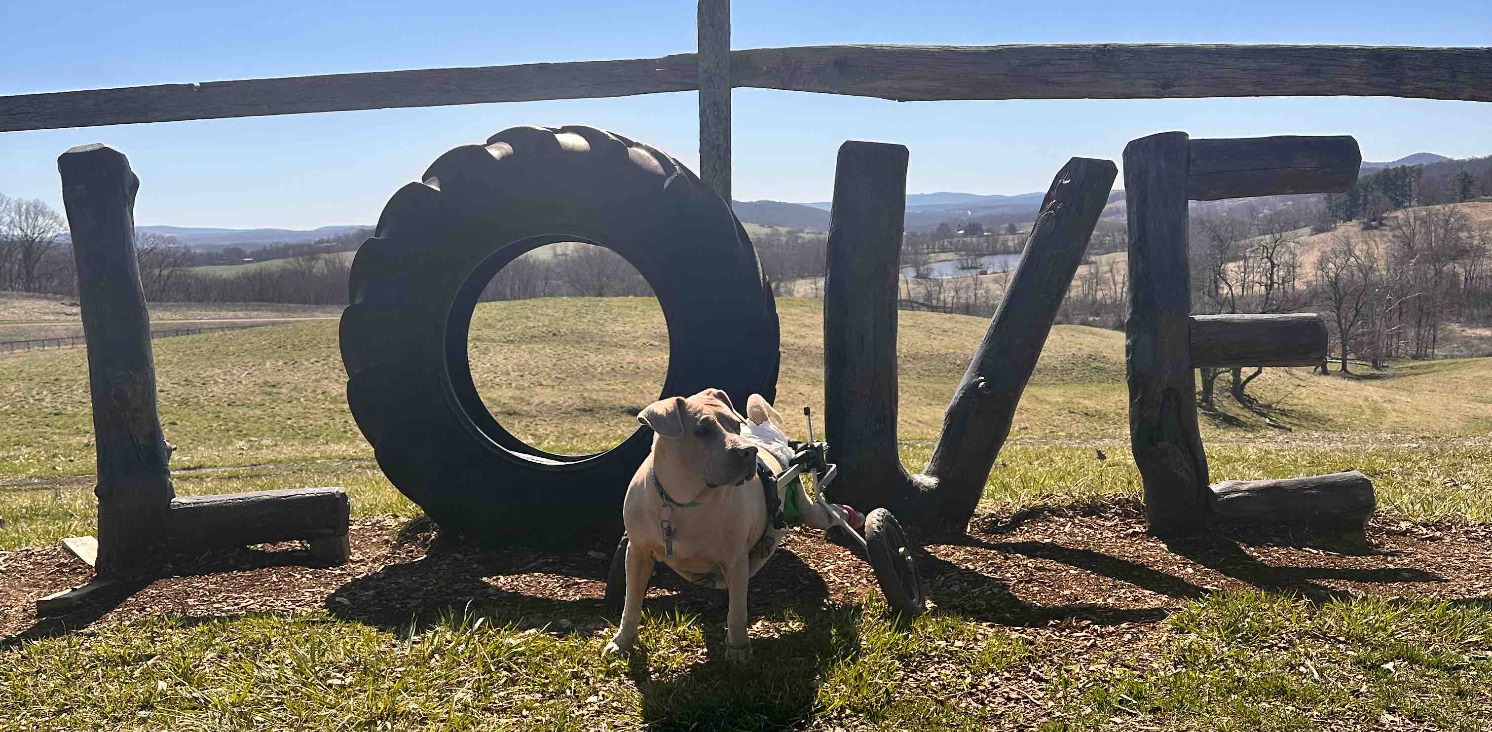 Hot Girl Summer banner