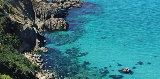 Уральские топтунишки banner