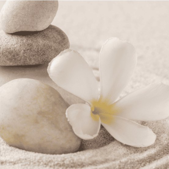 Family Wellness logo