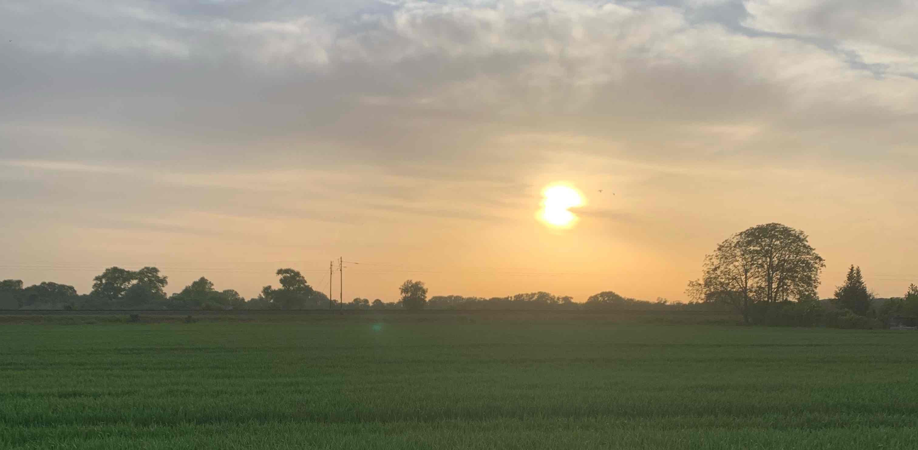 Hays Abteilung ADSC banner