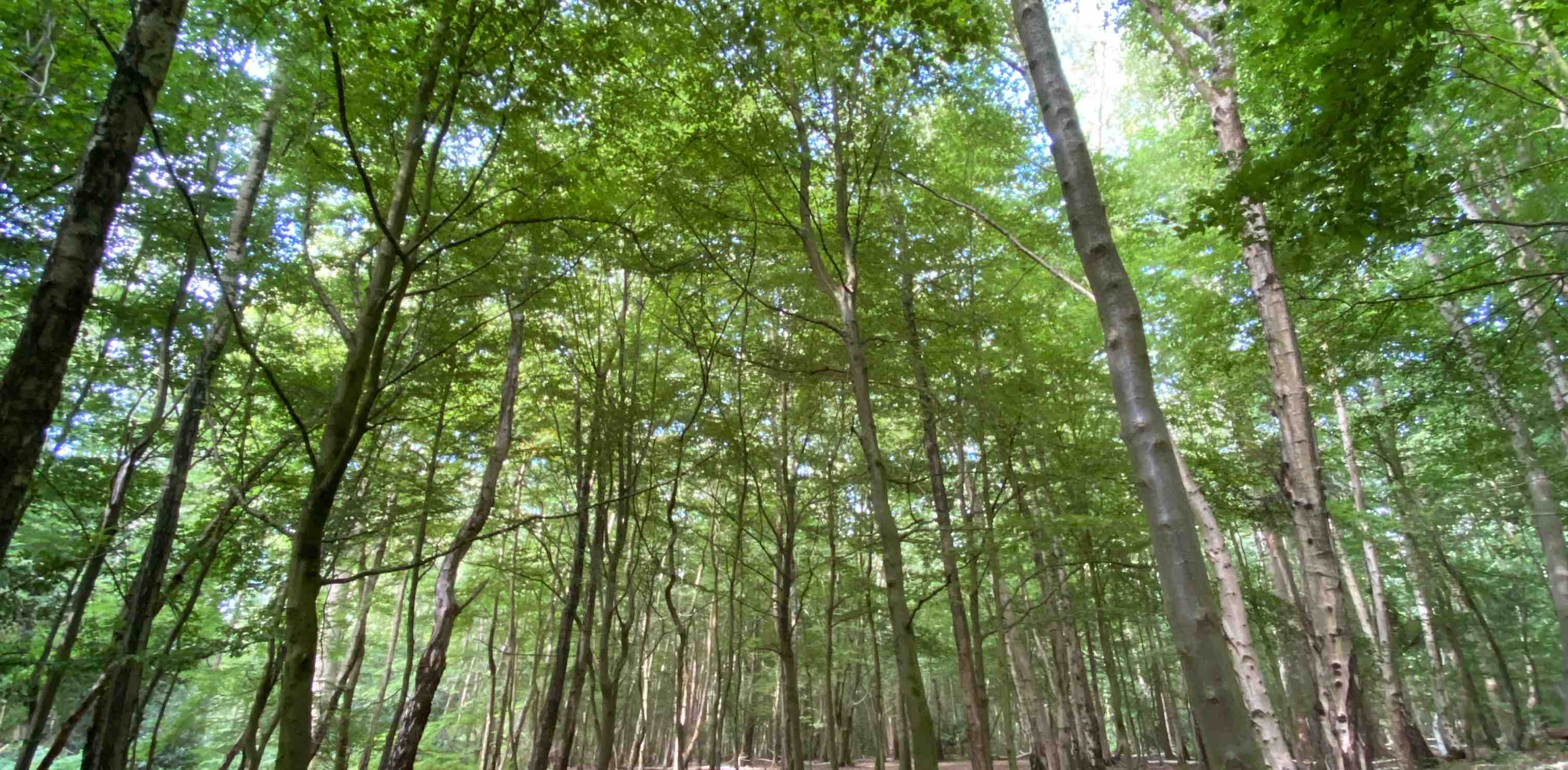 Breakers of the Cycle banner