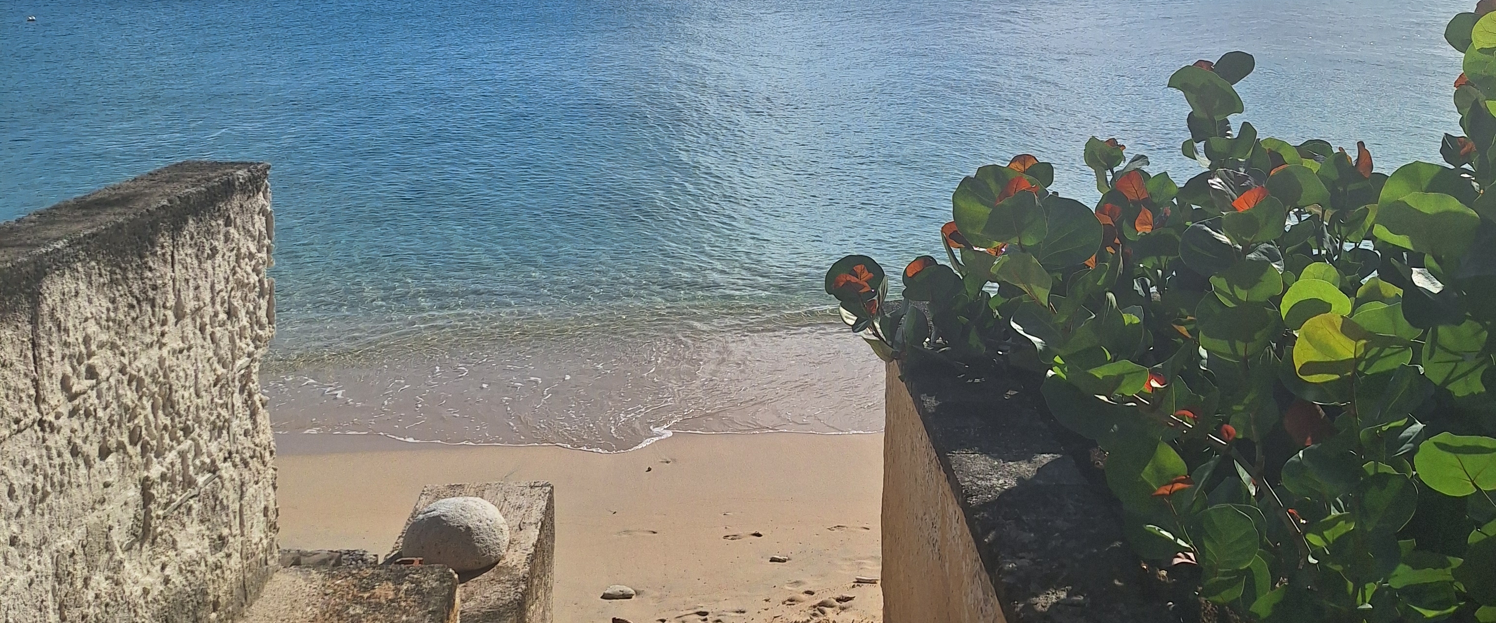 Pace in Paradise🚶🏿🏝 banner