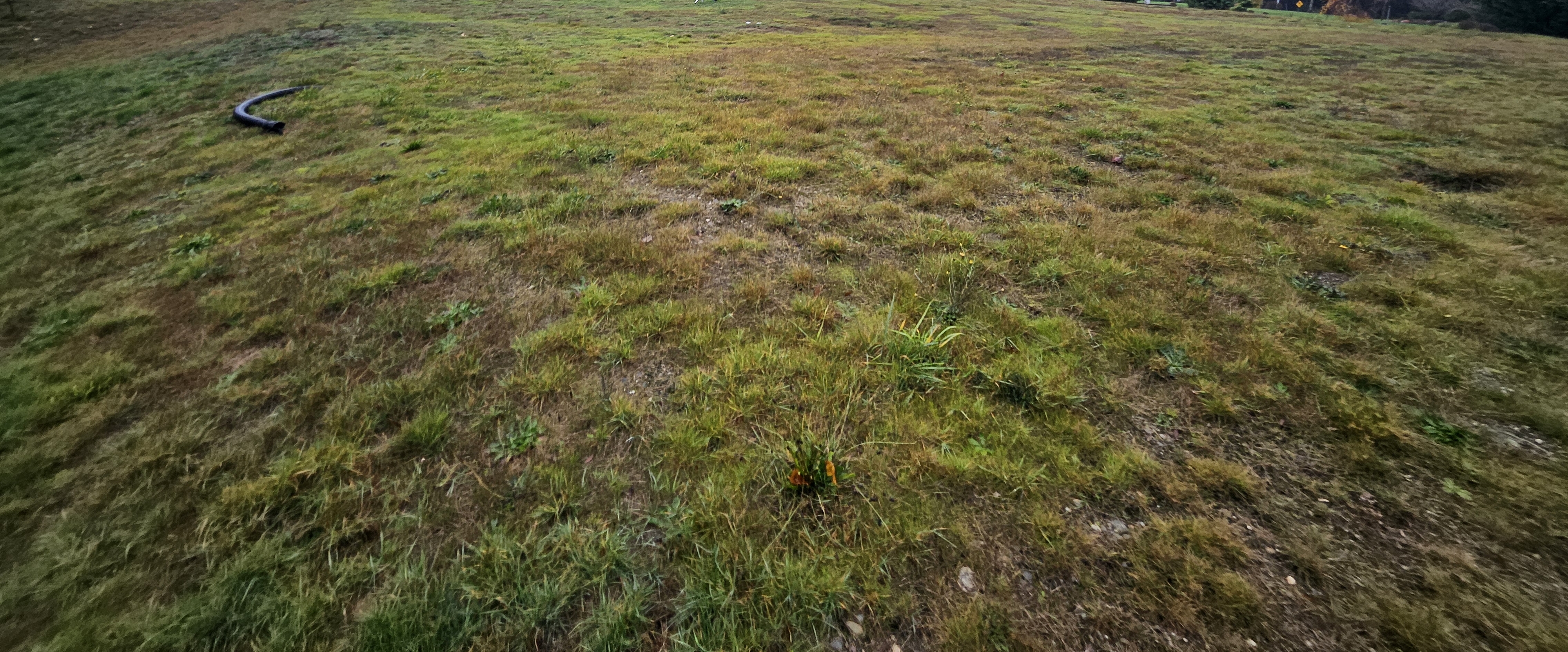 96th tc steps club banner