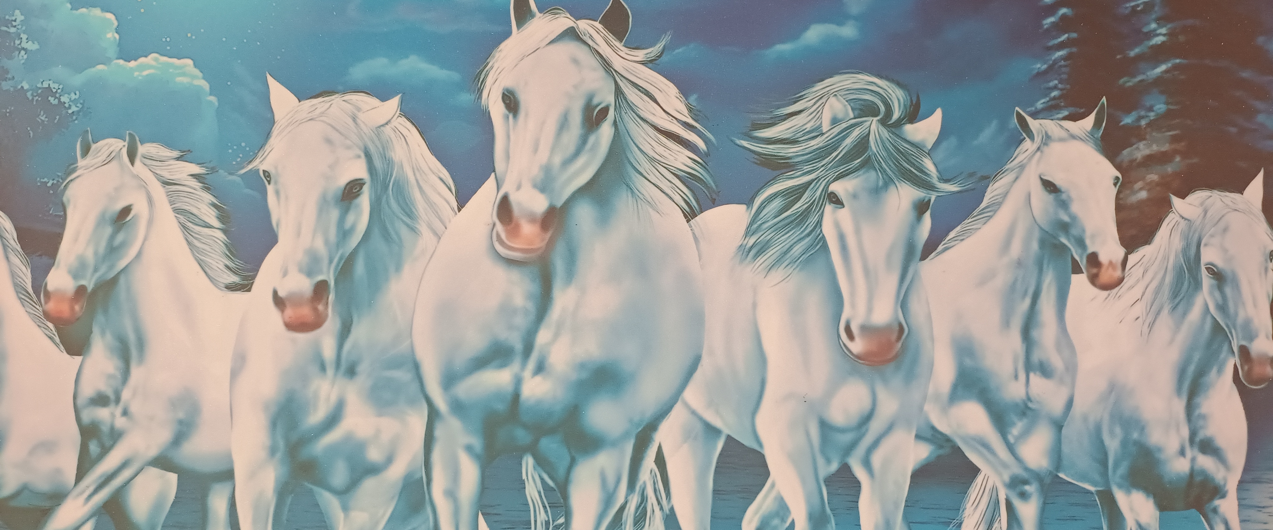 Health Is Wealth banner