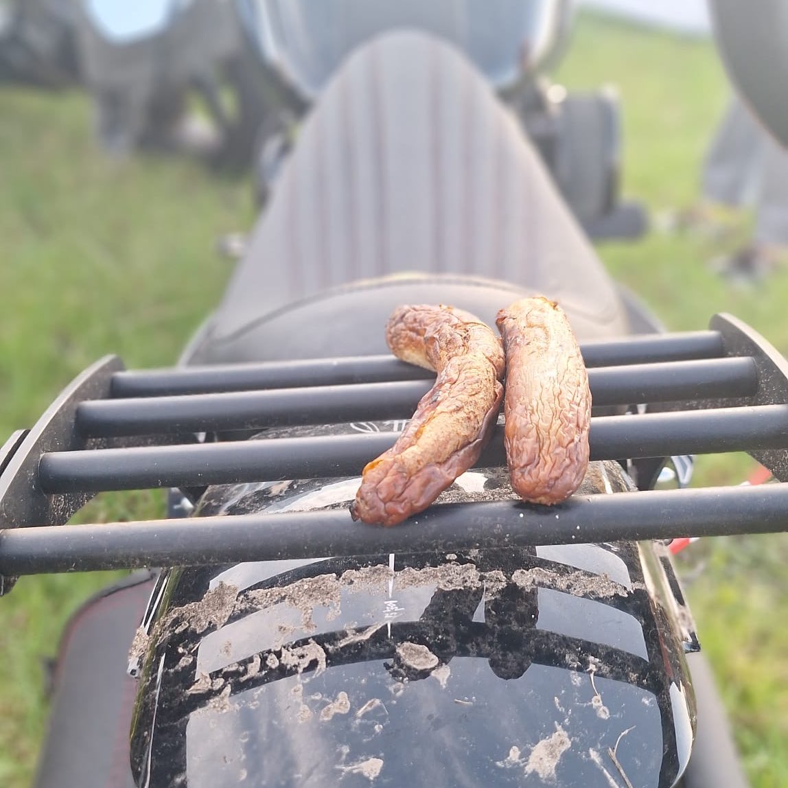 Gebäudeminions logo