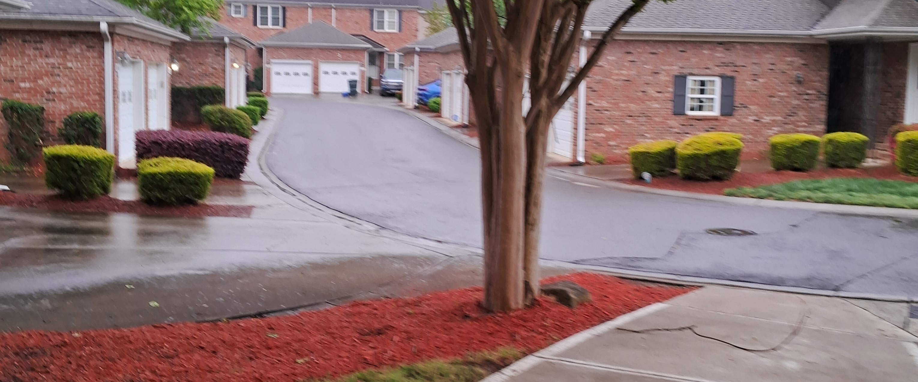 Adare @ Charlotte Buddies banner