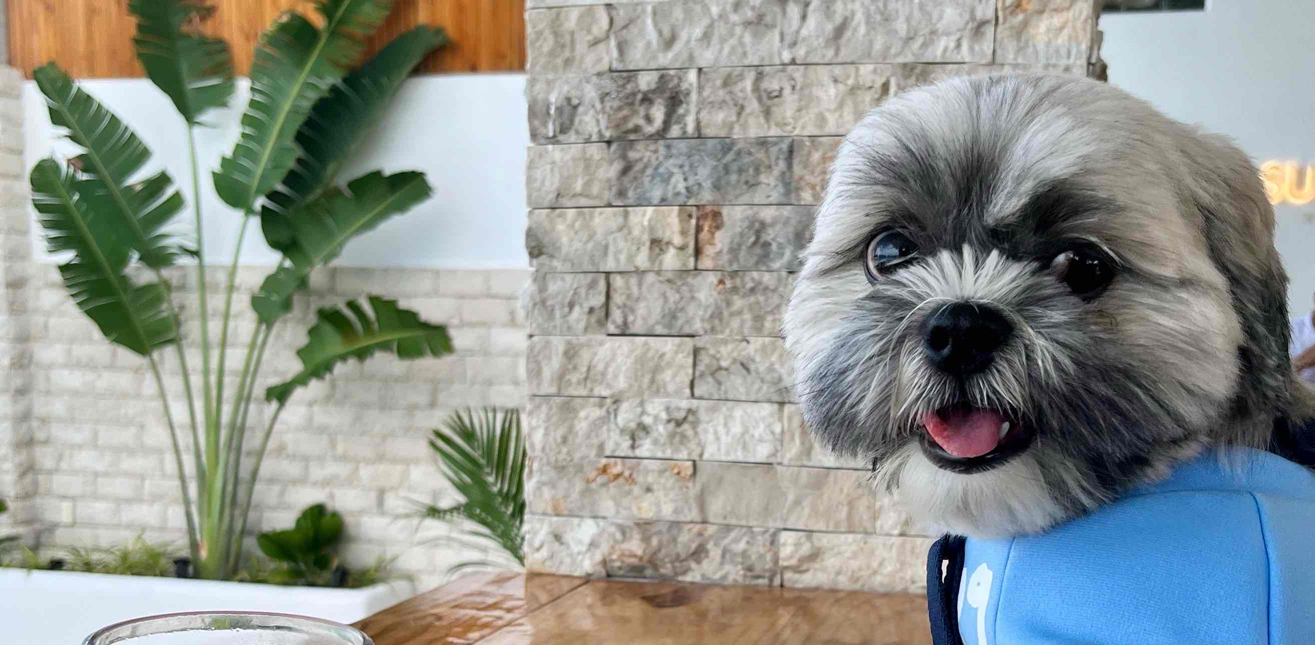 Wallop Walkers banner