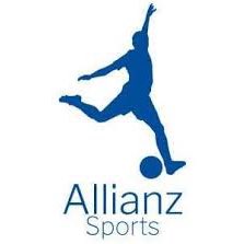 Animation de l’été logo