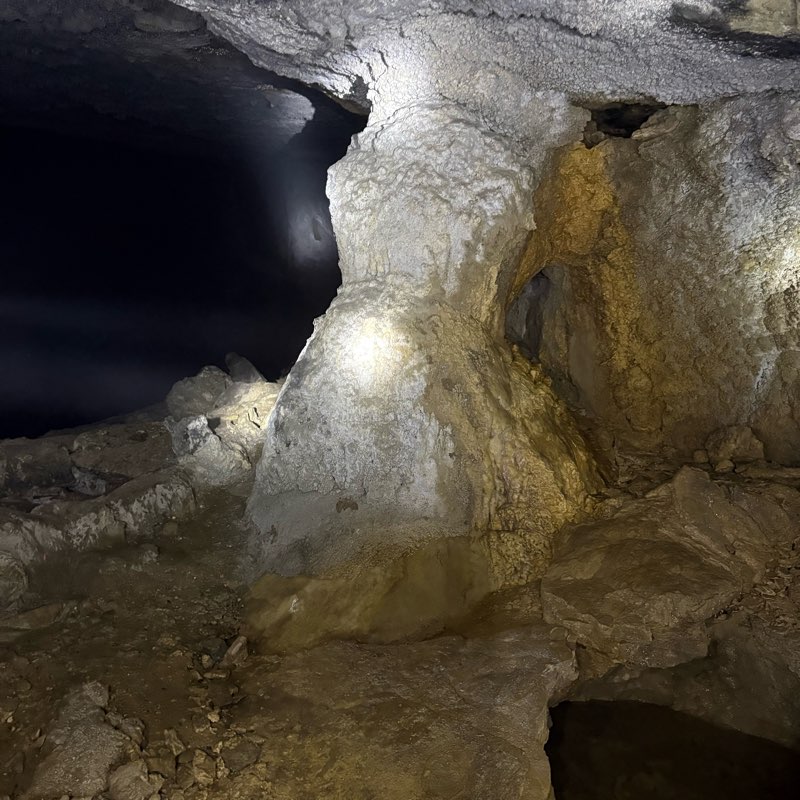 Amigos de Oscar.1965 logo