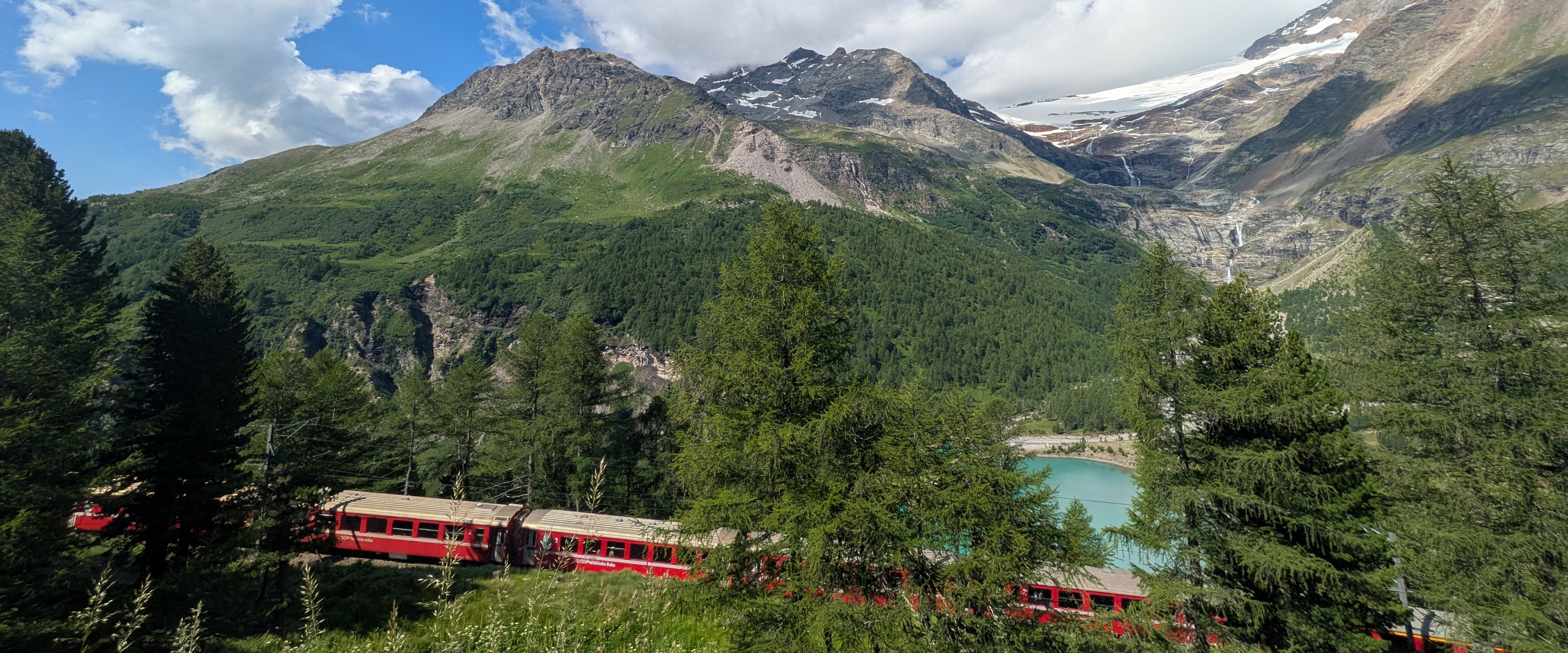 每日一動🐾 banner