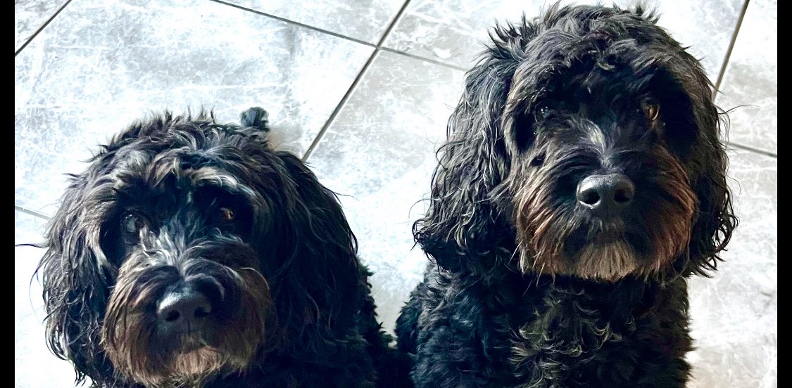 Most step 10000 banner