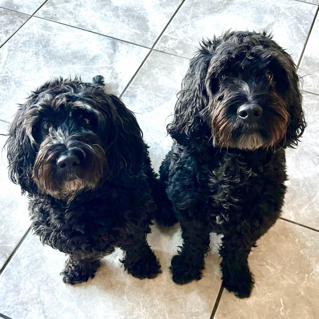 Most step 10000 logo