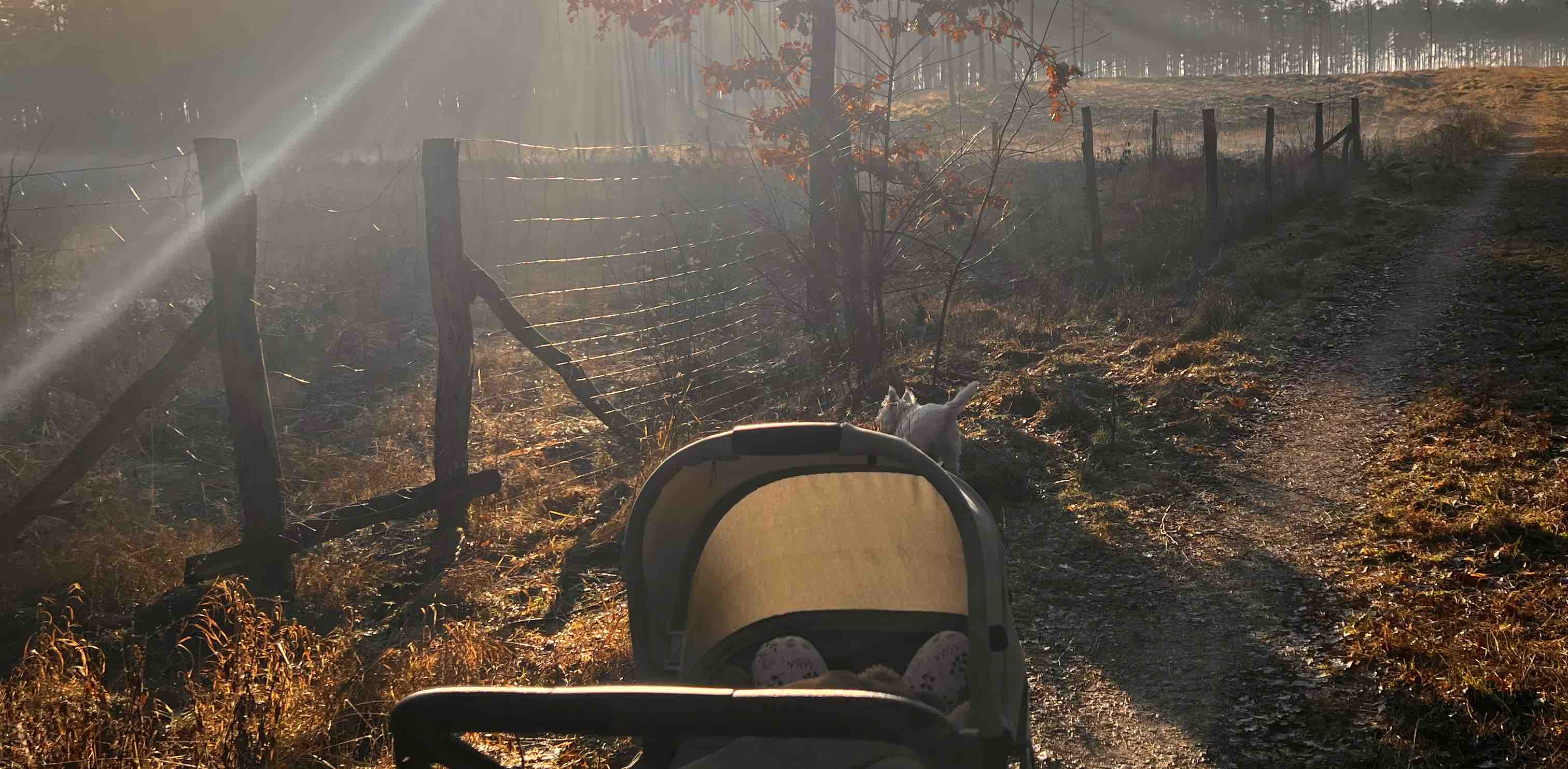 Aktywne mamy 👶 banner