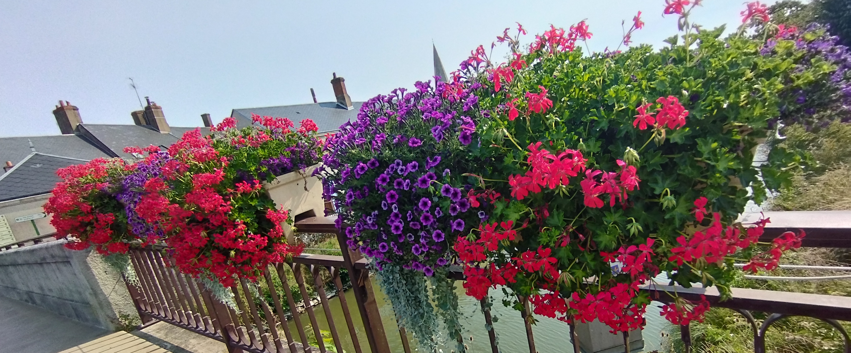 ☆ Liberté ☆ banner