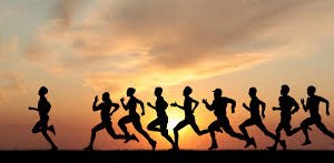 ZBible Study Walkers banner