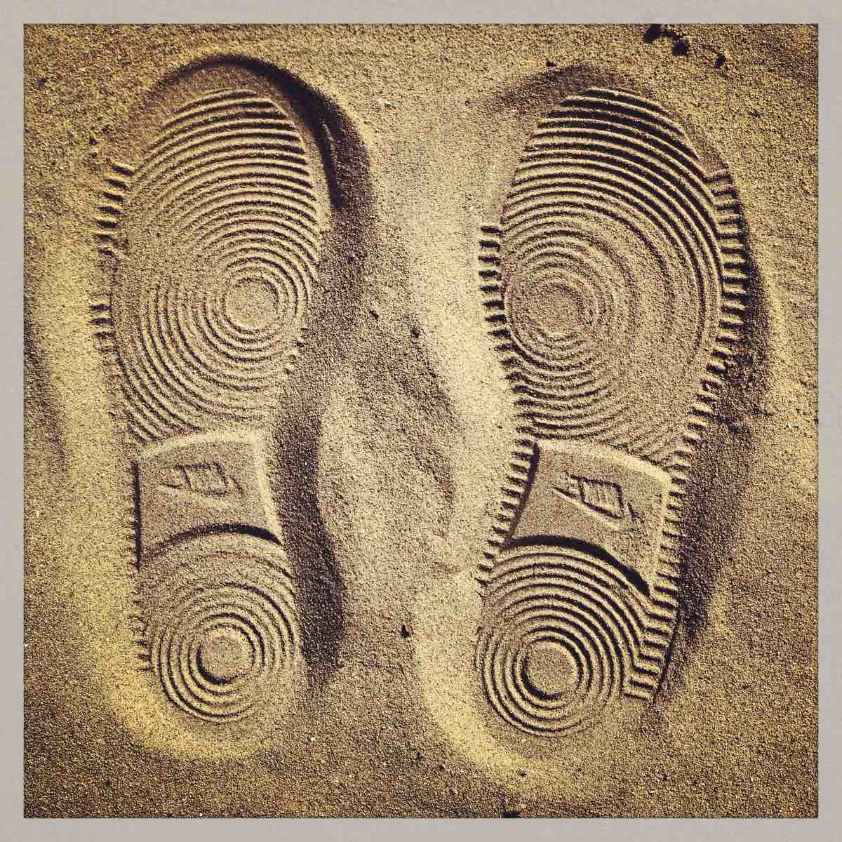 гуляем шагаем logo