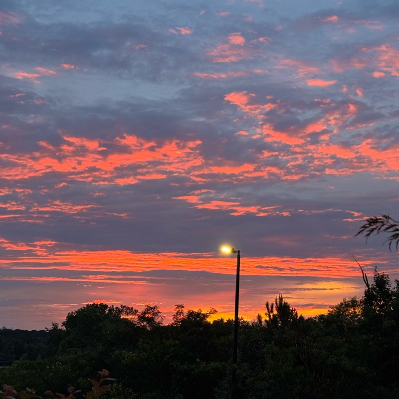 Happy Feet Club logo