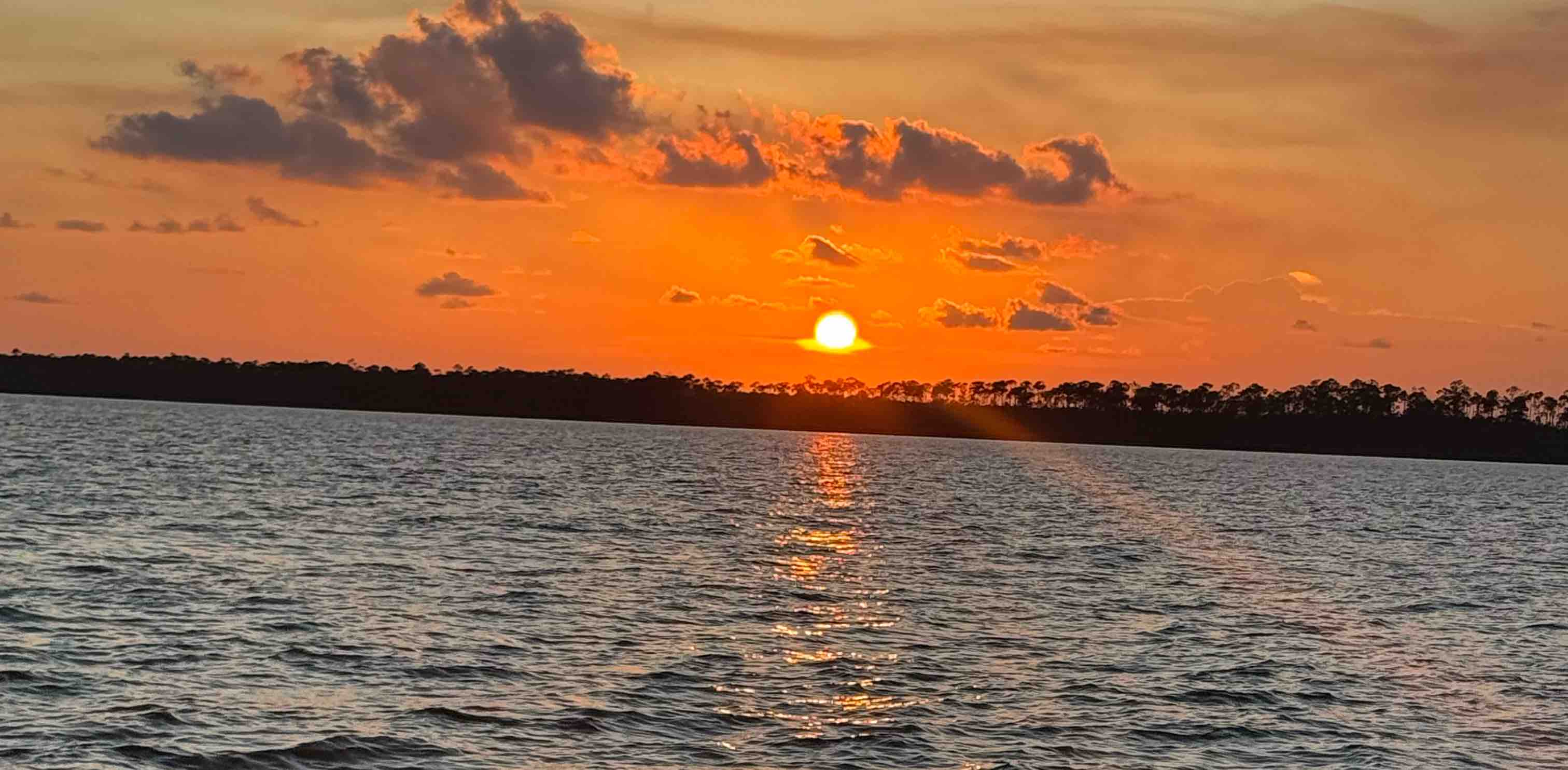 Happy Feet Club banner