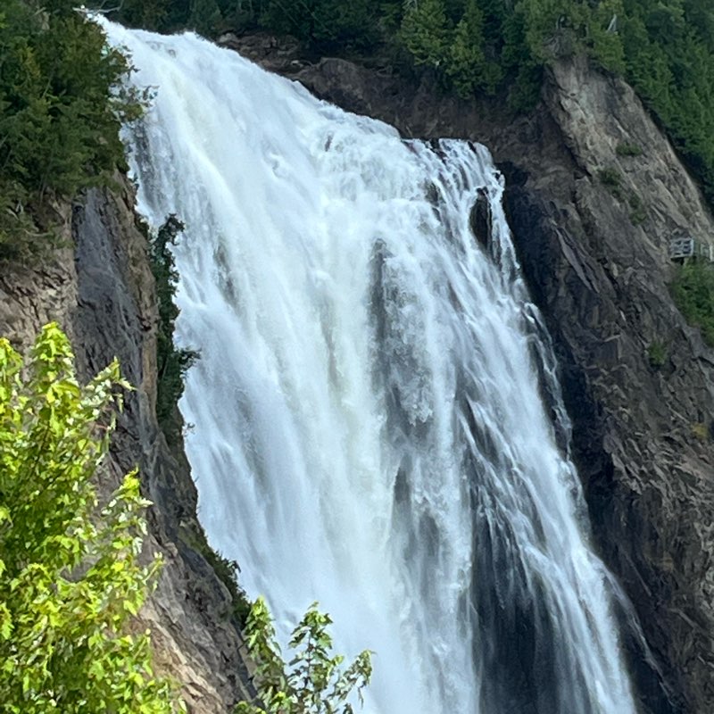 🏔Nature Group🏔 logo