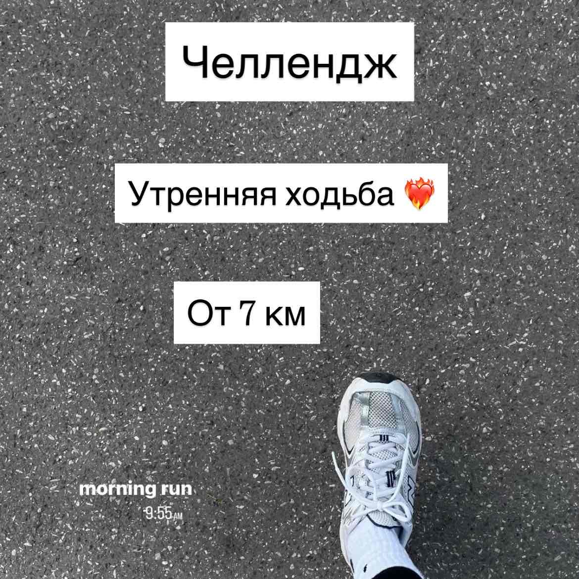 Челлендж по Ходьбе 4 августа logo